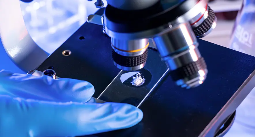 PET Enzyme Research Begins
