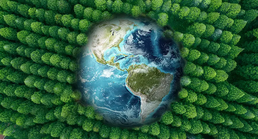 From an Enzyme to Industrial PET Circularity