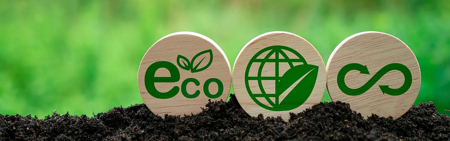 Circular PET Recycling Solutions