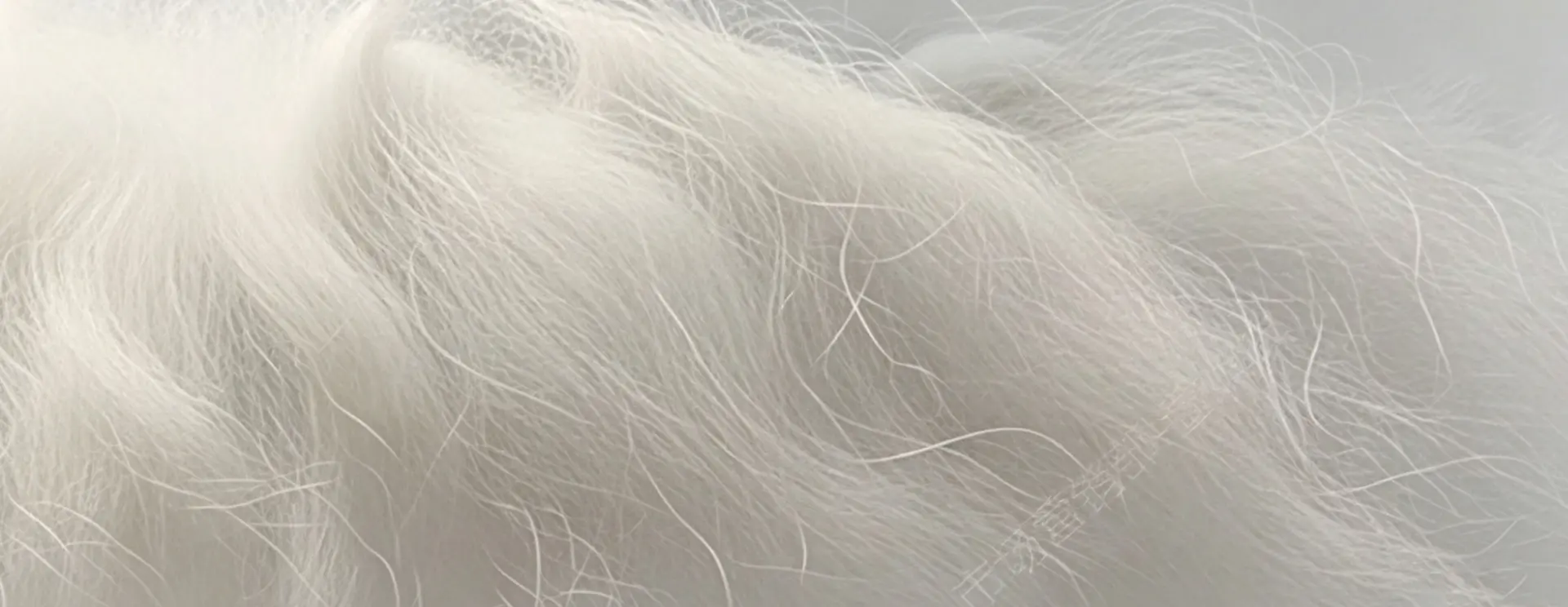 Recycled Polyester Yarn