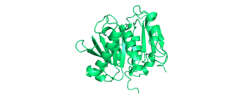 The Enzyme Behind Our Recycling Platform